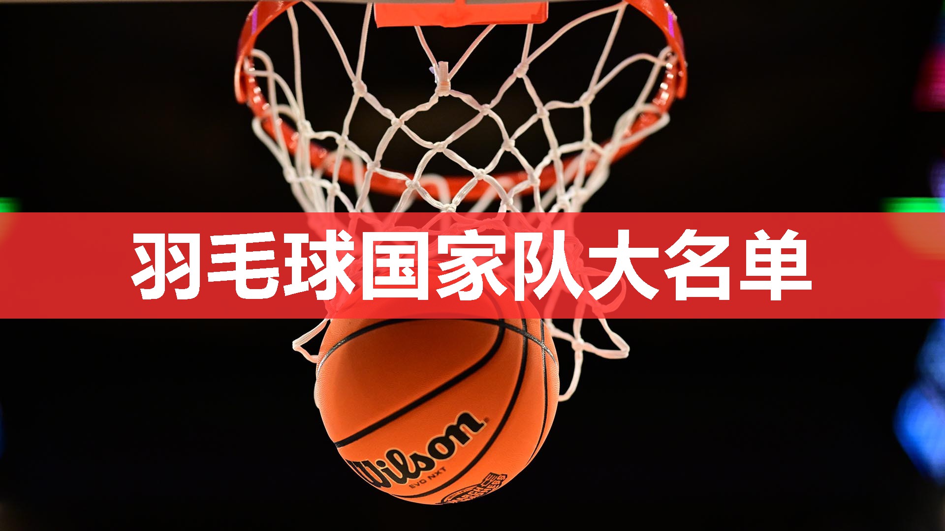 羽毛球国家队大名单 羽毛球国家队大名单